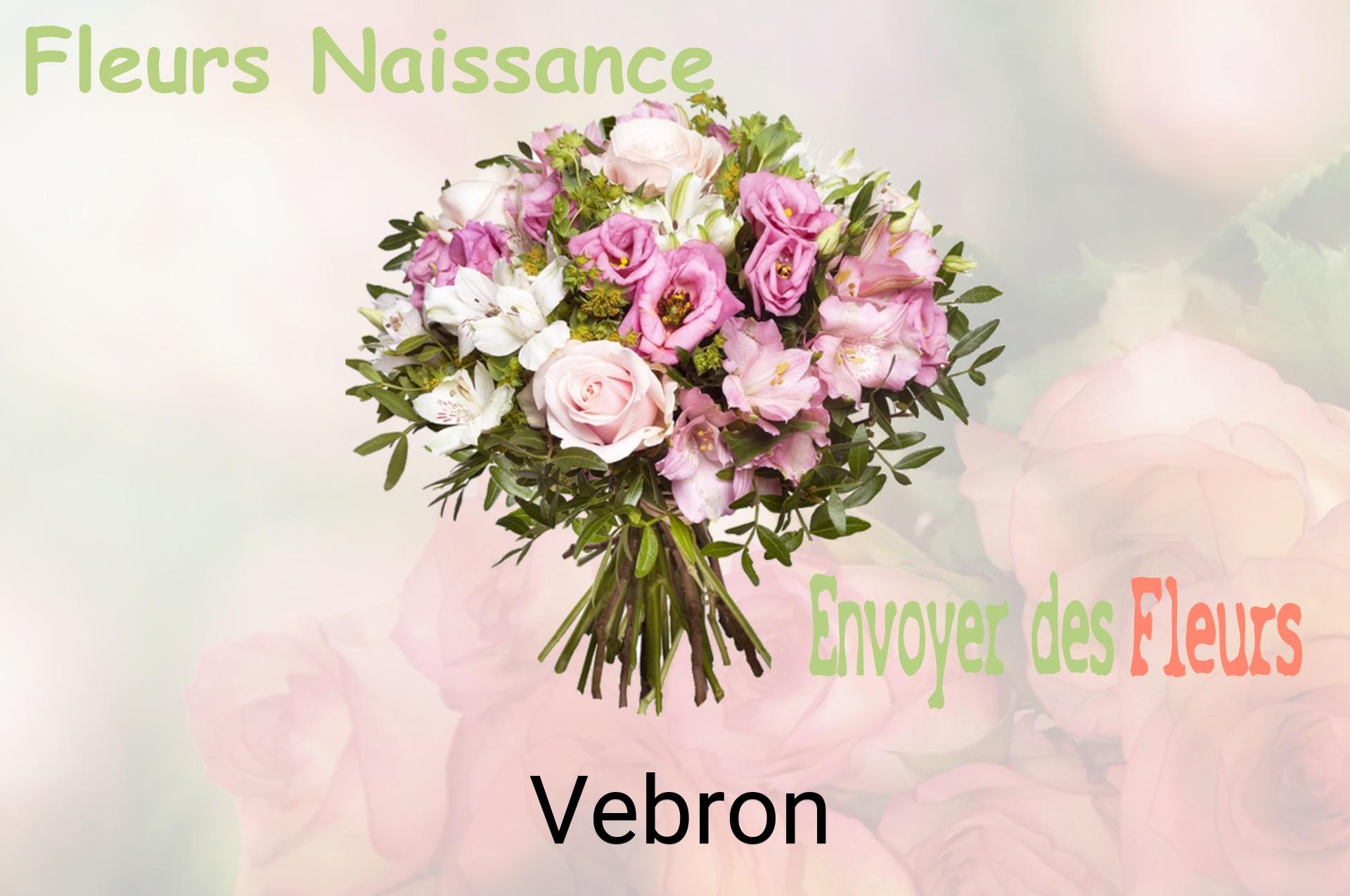 Bouquet de fleurs de naissance livré à Vebron